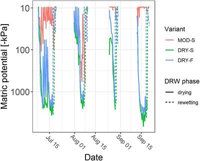 Phosphorus Leaching From Naturally Structured Forest Soils Is More Affected by Soil Properties Than by Drying and Rewetting